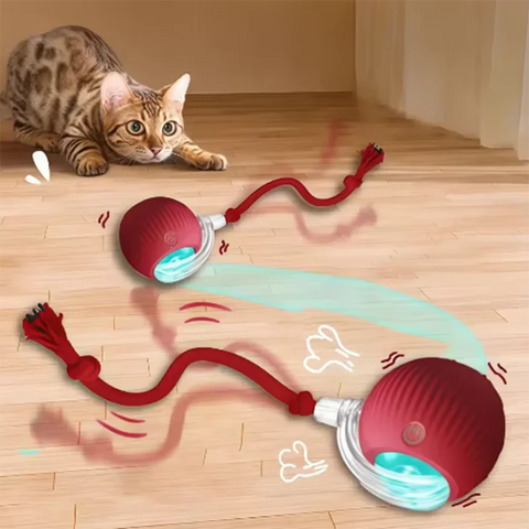 Smart Interactive Cat Ball | Obstacle Avoidance | Durable Pet Toy